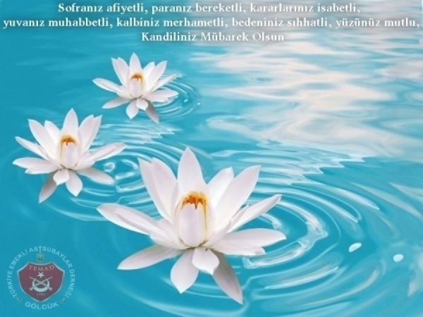 Sofranız afiyetli, paranız bereketli, kararlarınız isabetli, yuvanız muhabbetli, kalbiniz merhametli, bedeniniz sıhhatli, yüzünüz mutlu, Kandiliniz Mübarek Olsun