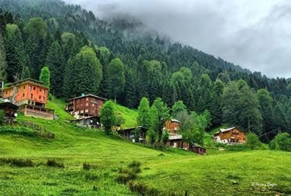 Karadeniz & Batum turu.