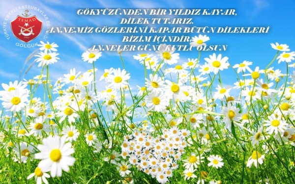 GÖKYÜZÜNDEN BİR YILDIZ KAYAR, DİLEK TUTARIZ. ANNEMİZ GÖZLERİNİ KAPAR BÜTÜN DİLEKLERİ BİZİM İÇİNDİR. ANNELER GÜNÜ KUTLU OLSUN